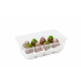 ЖАНЕТА, Скалички с какаова глазура 24 бр (1kg)